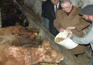 Şenkaya da makarna, Pasinler de patates